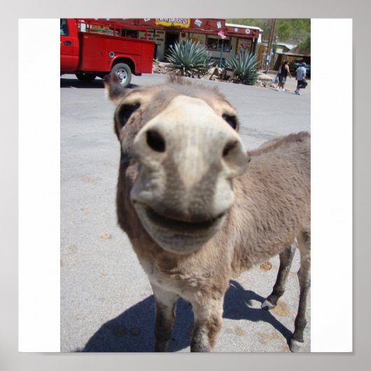 ジャカス002 ポスター (正面)