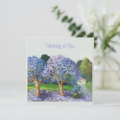 ジャカランダの木 (スタンド正面)