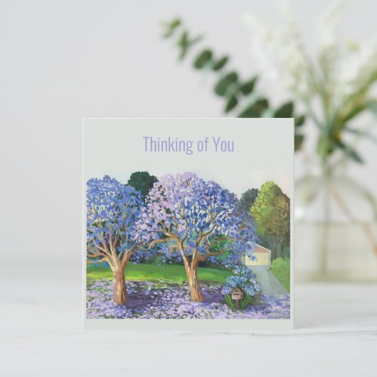 ジャカランダの木 (スタンド正面)