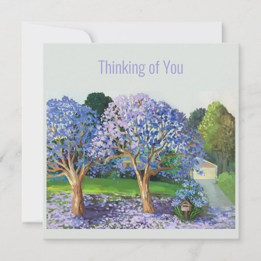 ジャカランダの木 (正面)