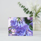 ジャカランダの花 ポストカード (スタンド正面)