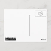 ジャカランダの花 ポストカード (裏面)