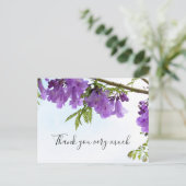 ジャカランダパープルフラワーズオーストラリアオンザツリー    ポストカード (スタンド正面)