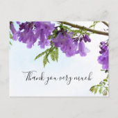 ジャカランダパープルフラワーズオーストラリアオンザツリー    ポストカード (正面)