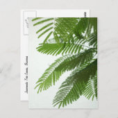 ジャカランダ葉ツリー ポストカード (正面/裏面)