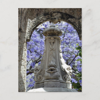 ジャカランディ ポストカード