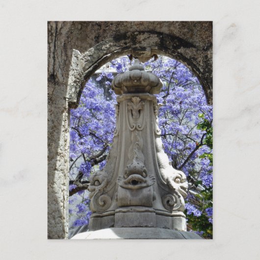 ジャカランディ ポストカード (正面)