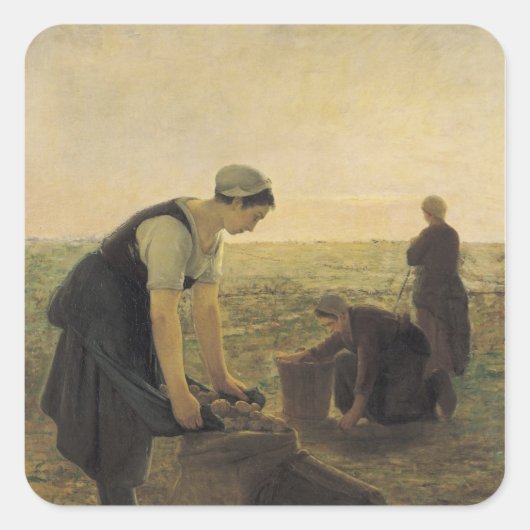 ジャガイモの収穫 スクエアシール (正面)