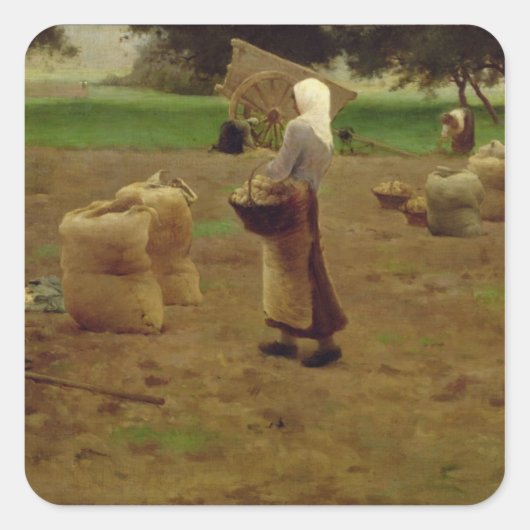 ジャガイモの収穫 スクエアシール (正面)