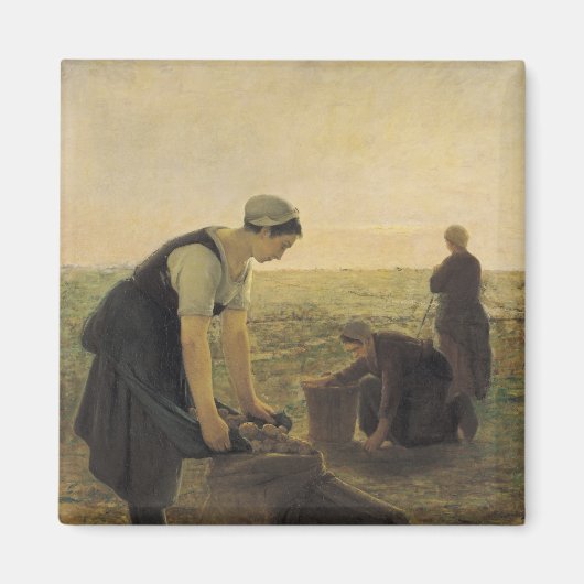 ジャガイモの収穫 マグネット (正面)