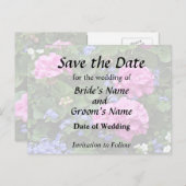 ジャガイモの花とペリウィンクル 案内ポストカード (正面/裏面)