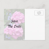 ジャガイモの花とペリウィンクル 案内ポストカード (裏面)