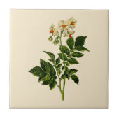 ジャガイモ タイル (正面)