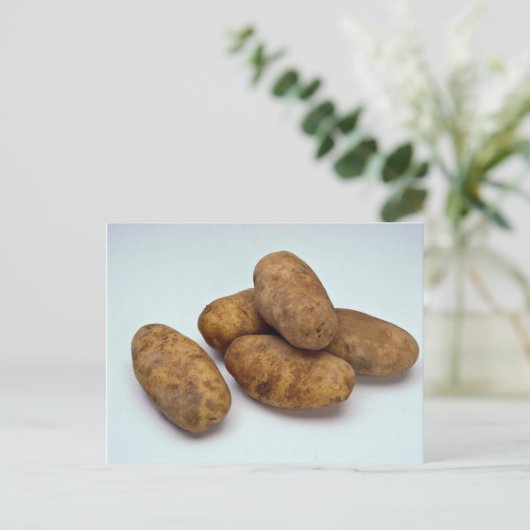 ジャガイモ ポストカード (スタンド正面)