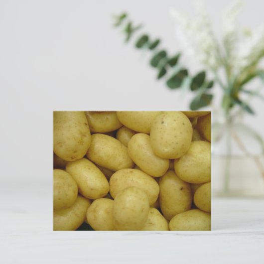 ジャガイモ ポストカード (スタンド正面)