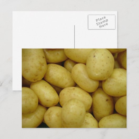 ジャガイモ ポストカード (正面/裏面)