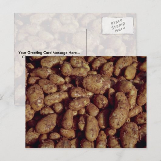 ジャガイモ ポストカード (正面/裏面)