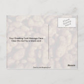 ジャガイモ ポストカード (裏面)