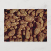 ジャガイモ ポストカード (正面)