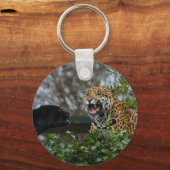 ジャガーのうなり声 キーホルダー (正面)