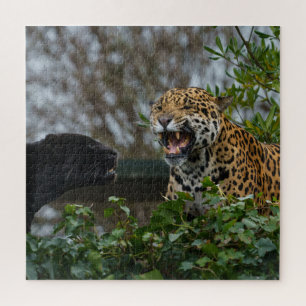ジャガーのうなり声 ジグソーパズル