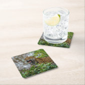 ジャガーのうなり声 スクエアペーパーコースター (インサイチュ)