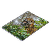 ジャガーのうなり声 ノートブック (左側)