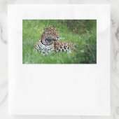 ジャガーのシール 長方形シール (バッグ)