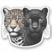 ジャガーのデュオ シール (正面)