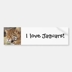 ジャガーのバンパーステッカー バンパーステッカー