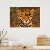 ジャガーのポスター ポスター (キッチン)