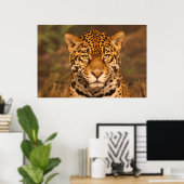 ジャガーのポスター ポスター (ホームオフィス)