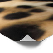 ジャガーのポスター ポスター (角)