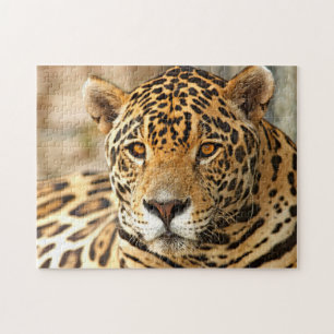 ジャガーの写真 ジグソーパズル