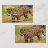 ジャガーの名刺 名刺 (正面/裏面)