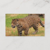 ジャガーの名刺 名刺 (裏面)