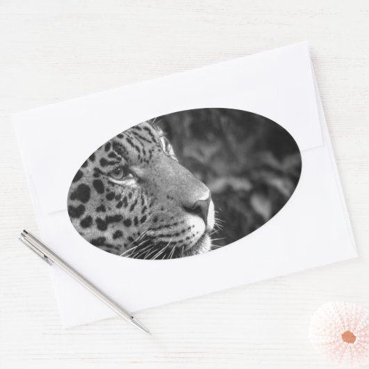 ジャガーの白黒 楕円形シール (封筒)