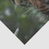 ジャガーは森の中で近くにいた 薄葉紙 (詳細)