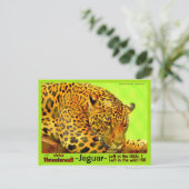ジャガーは絶滅の危機に瀕している動物だ。 ポストカード (スタンド正面)