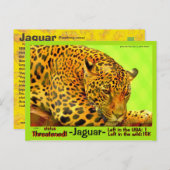 ジャガーは絶滅の危機に瀕している動物だ。 ポストカード (正面/裏面)