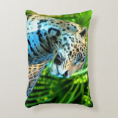 ジャガーアクセント枕 – ワイルドライフシリーズ アクセントクッション (正面(垂直))