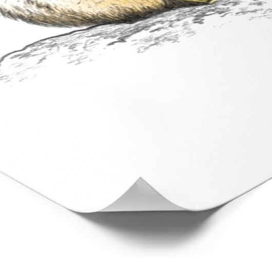 ジャガーカラー ポスター (角)