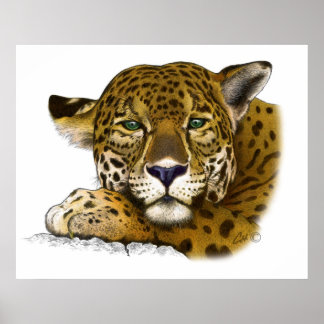 ジャガーカラー ポスター