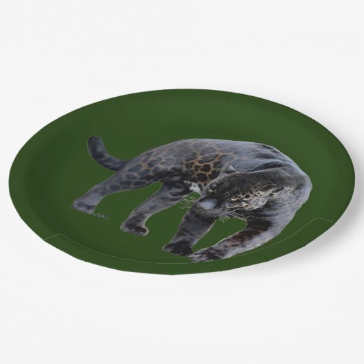 ジャガーディアブログリーン大紙プレート ペーパープレート (アングル)