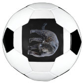 ジャガーディアブロサッカーボール サッカーボール (回転)