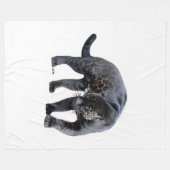 ジャガーディアブロフリースブランケット フリースブランケット (正面(横))