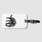 ジャガーディアブロ白ラゲッジタグ ラゲッジタグ (正面横)