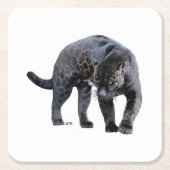 ジャガーディアブロ白紙コースター スクエアペーパーコースター (正面)