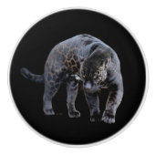 ジャガーディアブロ黒セラミックノブ セラミックノブ (正面)