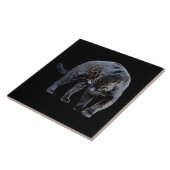 ジャガーディアブロ黒大セラミックタイル タイル (側面)